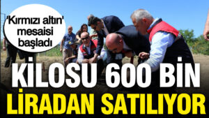 haber-gorseli-1787148586850
