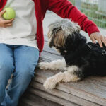 Evde köpek beslemek bebekleri bazı hastalıklardan koruyabilir